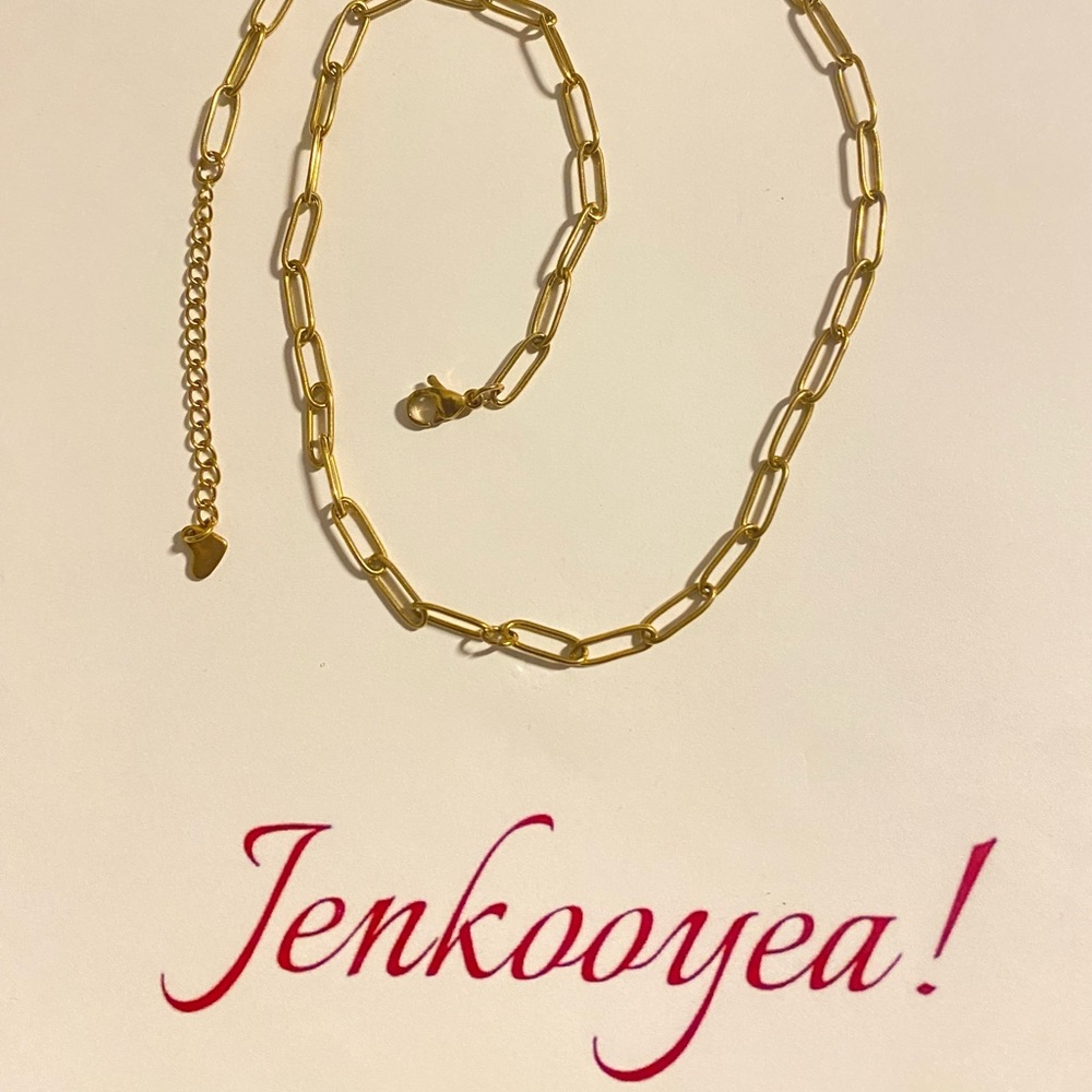 Gold plated titanium hypoallergenic and water resistant paper clip Link Necklace